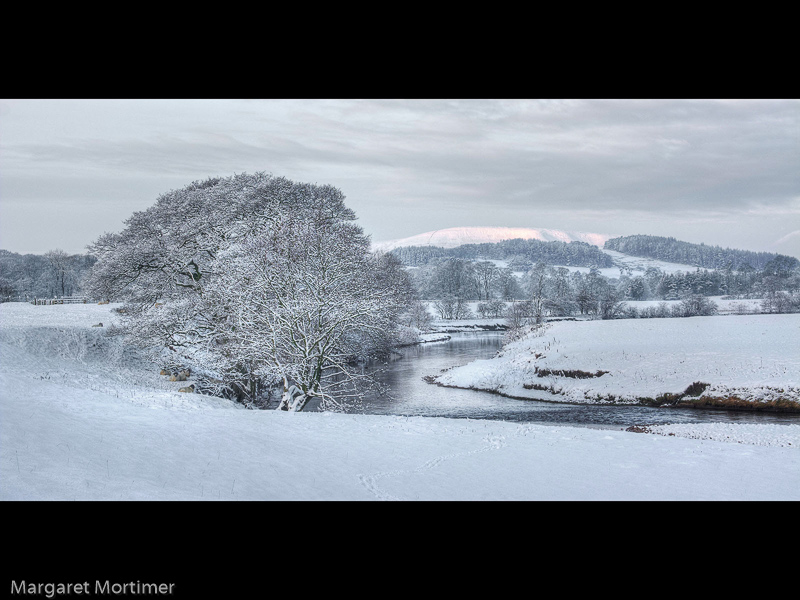 Along the River Hodder