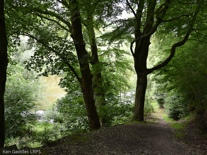 Path to Copy Pit Fishpond