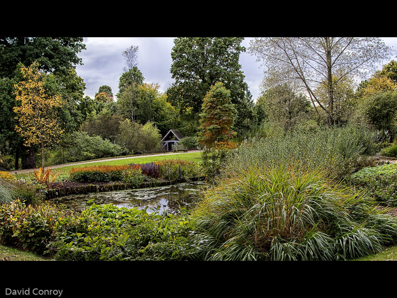 The Park Bench